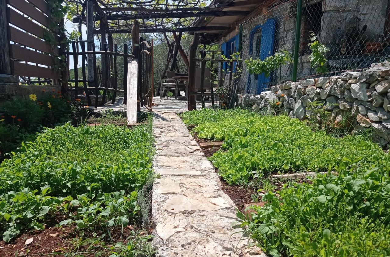 Casa Delle Olive Villa Mošćenička Draga Eksteriør billede