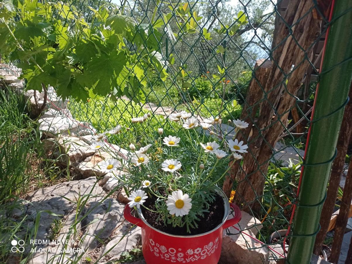 Casa Delle Olive Villa Mošćenička Draga Eksteriør billede